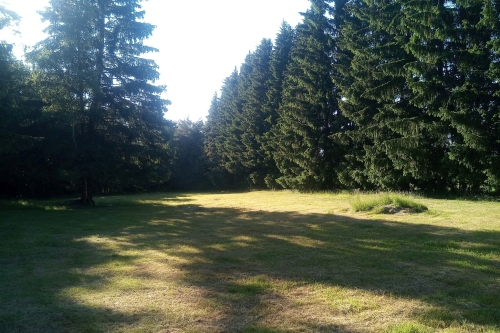 Meadow. And nothing else. There's supposed to be a camp here?