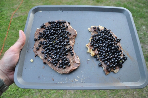 And for dessert, we have the nature-fried pancakes ala nutella con i mirtilli, which are all over the woods.