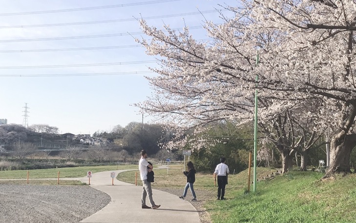 park u univerzity a hanami před námi