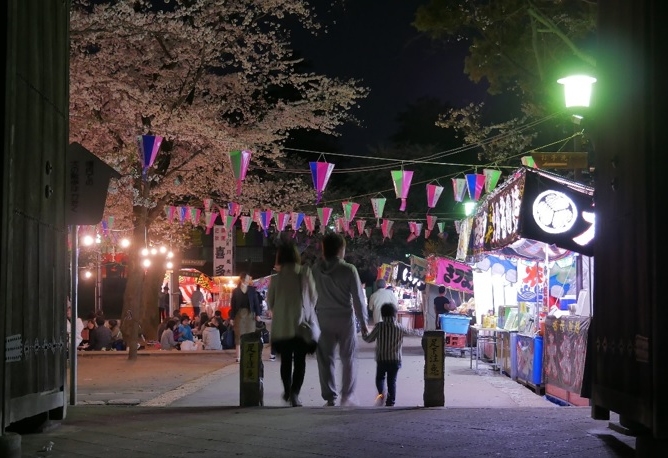 poklidné hanami kolem chrámu Kitain v Kawagoe
