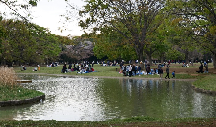 Yoyogi park v Tokyu