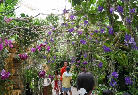 tropické skleníky v EXPO parku plné orchidejí a dalších exotických rostlin