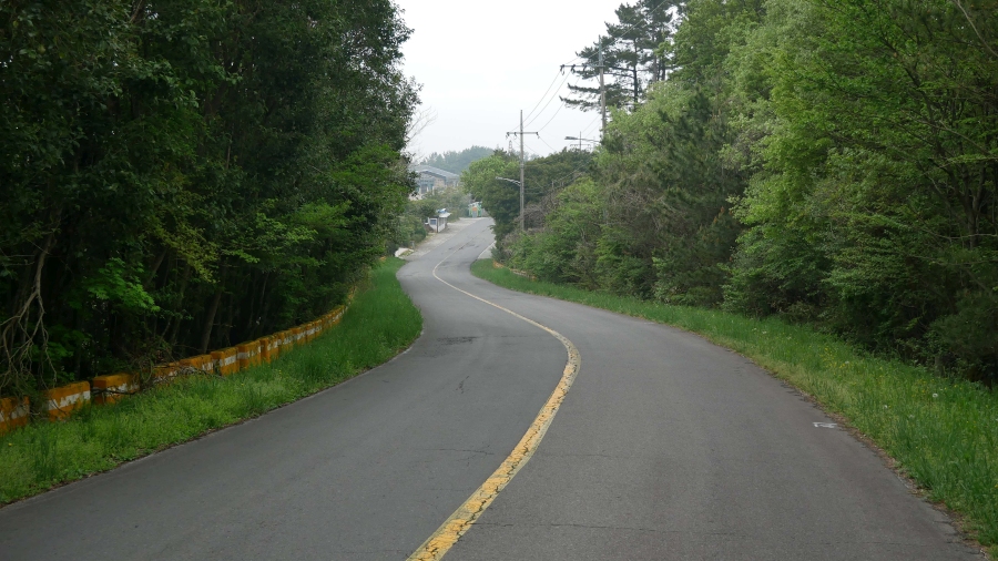 mysterious road na Jeju