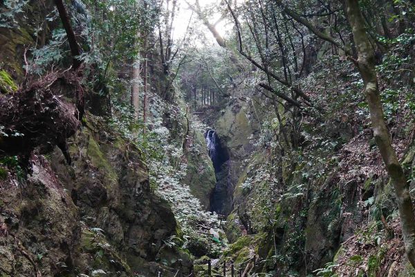 Vzhledem k velmi rozlehlé zástavbě je celkem problém se dostat do nějaké - pro Evropana - normálnější přírody.