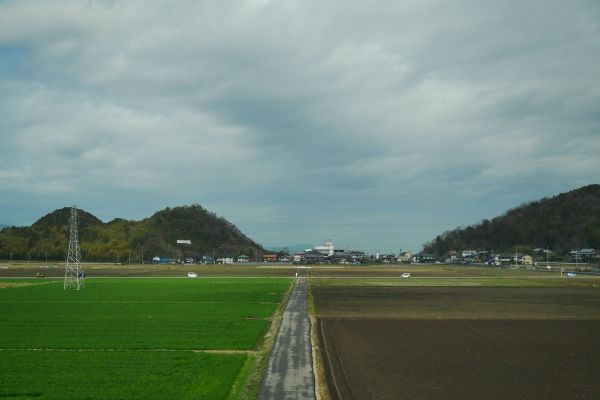 Japonská pole na venkově.