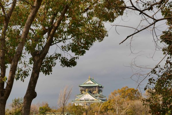 Osacký hrad vykukující skrz vzrostlé okolní stromy.