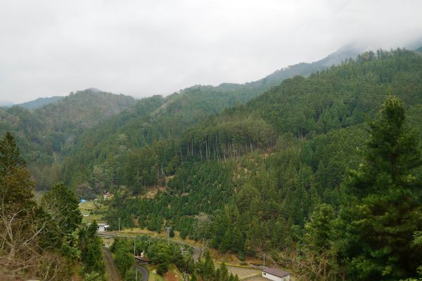 Kójasan, centrum šingon buddhismu, leží vysoko v horách kousek od Osaky.