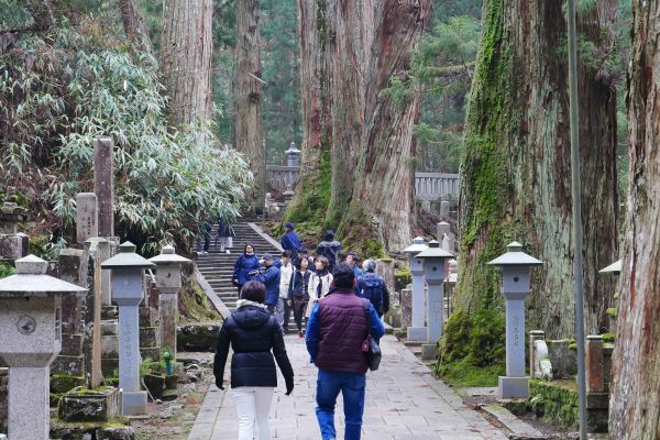 Hřbitov Okunoin na Kójasanu.