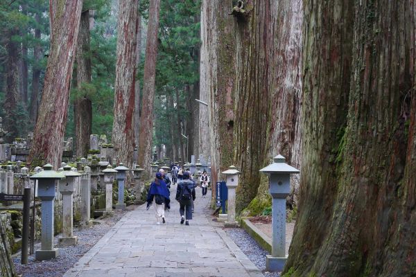 Procházkou skrz Okunoin pod staletými cedry lze dojít až na konec k mauzoleu Kúkaje (Kobodaishiho).