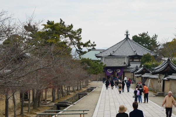 Procházka skrz komplex Horyuji.