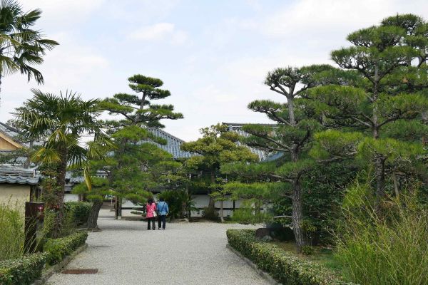 Zahrady v komplexu Horyuji.