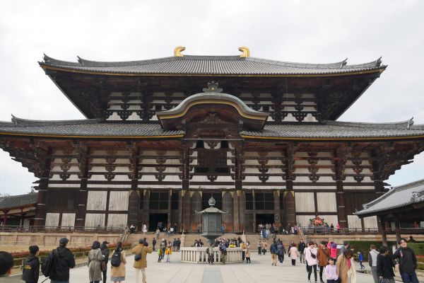 Je jeden z největších, které jsem v Japonsku viděl.