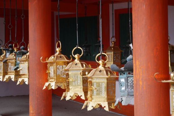 Lampy kolem chodníčků ve svatyni Kasuga Taisha.