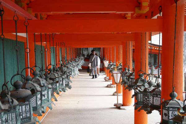 Lampy kolem chodníčků ve svatyni Kasuga Taisha.