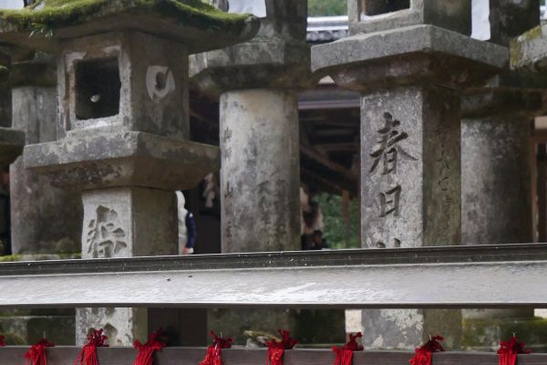 Hřbitov za svatyní Kasuga Taisha.