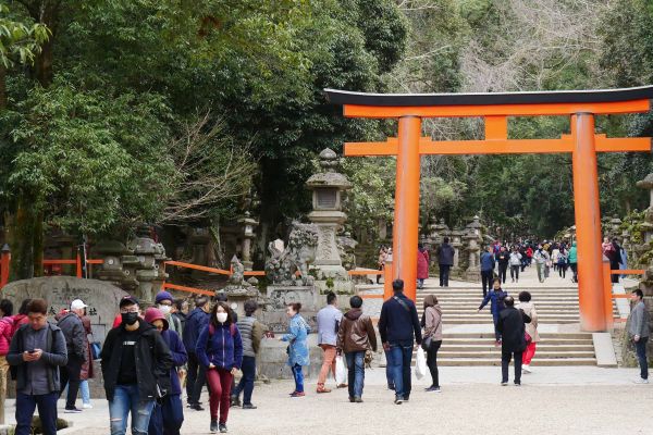 Park v Naře s bránou torii.