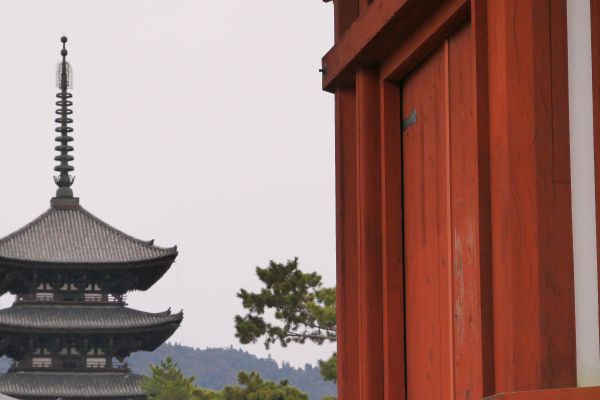 Komplex Kofukuji v Naře.