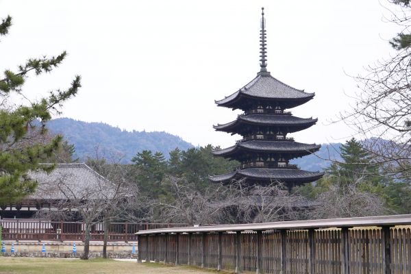 Pagoda komplex Kofukuji v Naře.