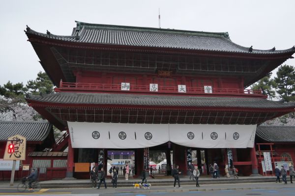 Vstup do chrámového komplexu Zojoji.