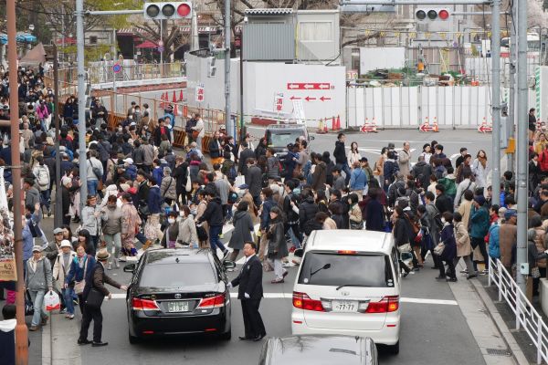 Davy valící se do Ueno parku slavit Hanami.