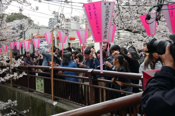 Kdo nefotí, není Japonec.