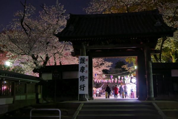 Vstup do chrámu Kitain během hanami oslav.