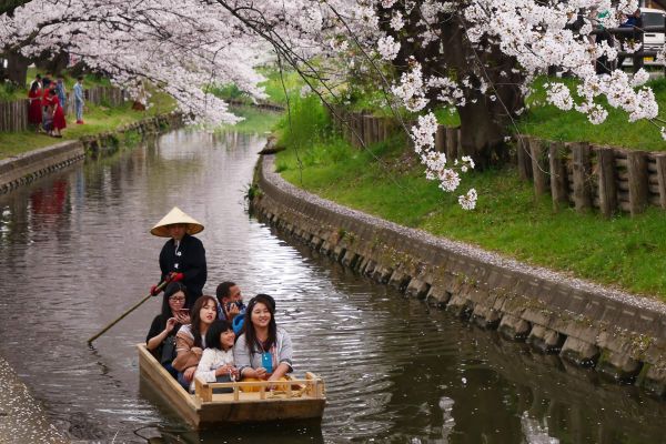 ..přitahuje pozornost turistů,...
