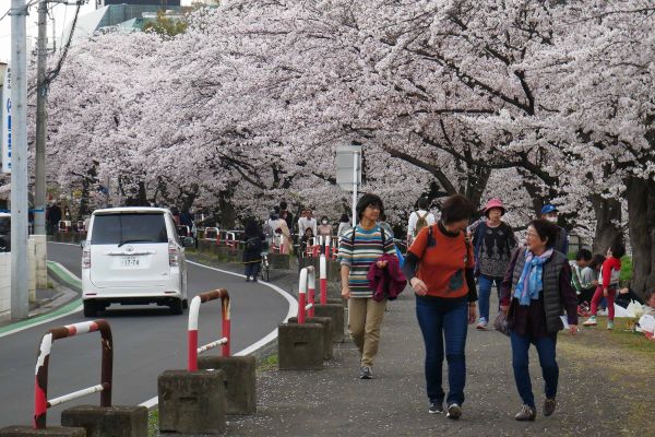 ..kteří jsou všude...