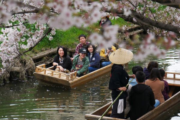 Nejkrásnější pohled je v této době ne z koně, ale lodičky na sakury.