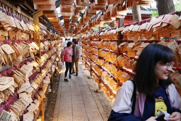 Přání ema v Hikawa svatyni v Kawagoe.