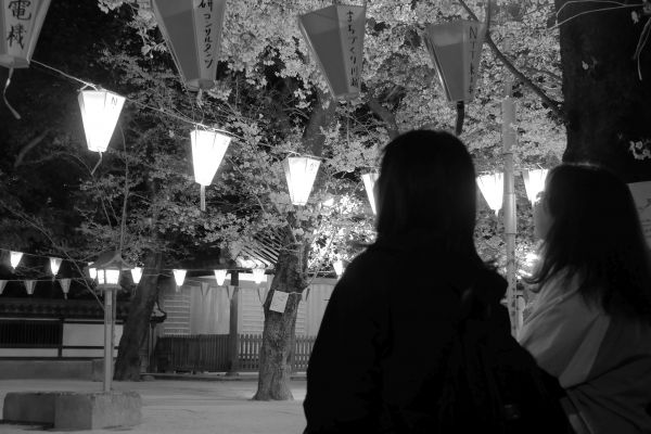 Poklidné trávění času o hanami v Chokiinu.