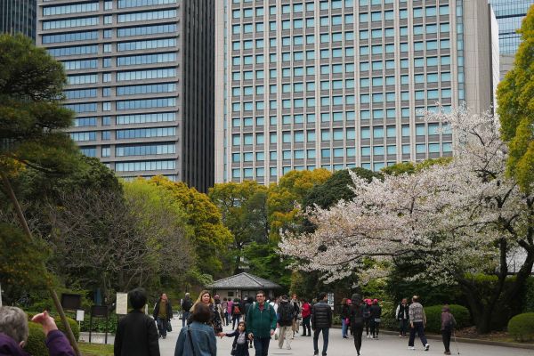 Příroda ve městě nebo město v přírodě?