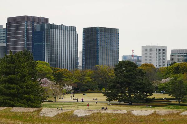 Zahrady císařského paláce v Tokyu.