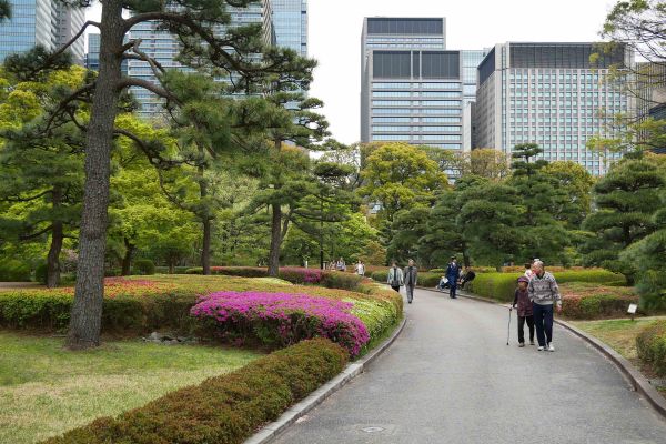 Zahrady císařského paláce v Tokyu.