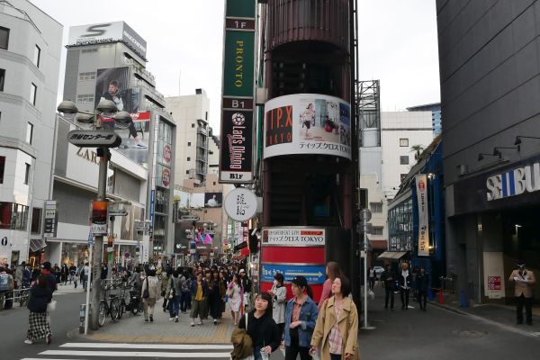 Některé domy jsou neskutečné, třeba i jen dva metry široké.