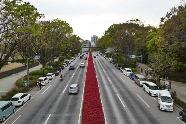 Yoyogi park.