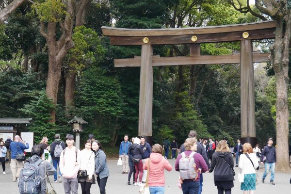 Komplex Meiji v Harajuku s bránami torii v přirozené patině dřeva.