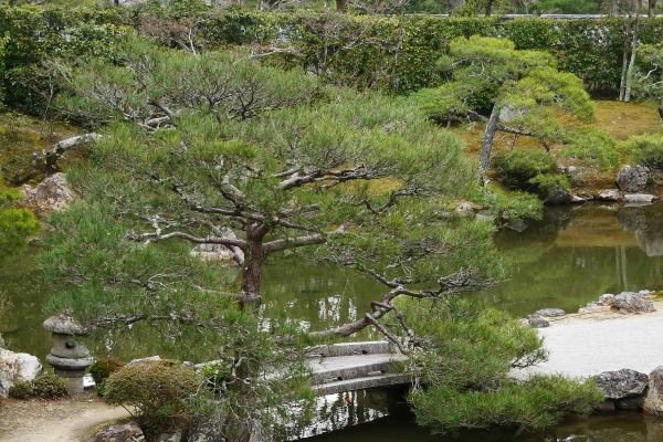 Zahrady v chrámovém komplexu Ninnaji.