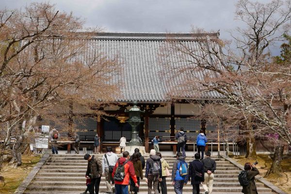 Chrámový komplex Ninnaji s okolními pozdními sakurami. Pokvetou až tak v dubnu.