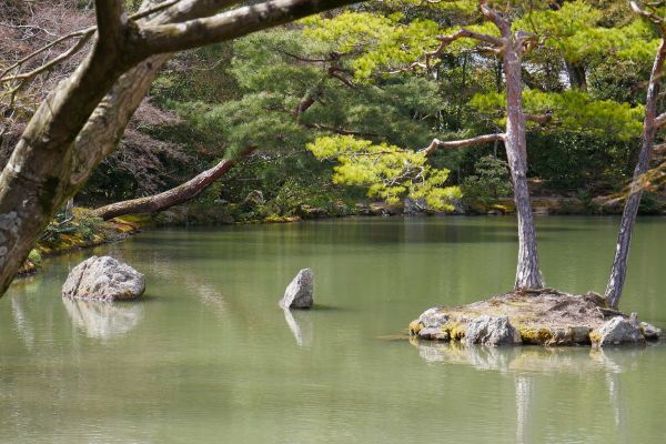 Malebné okolí zlatého pavilonu Kinkakuji.