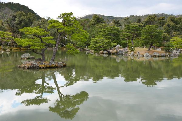 Malebné okolí zlatého pavilonu Kinkakuji.