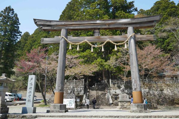 Brána torii u svatyně Togakushi nad Naganem.