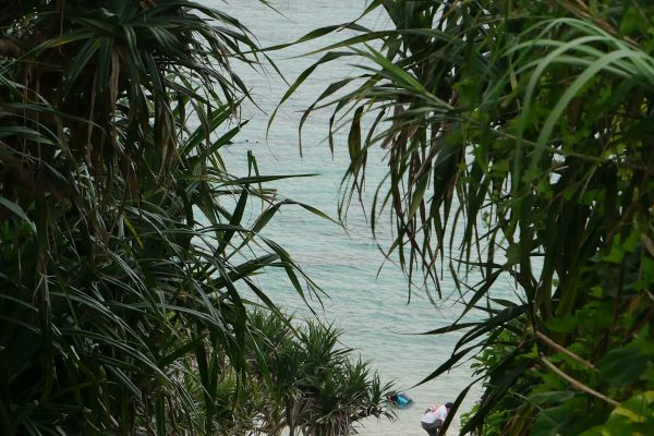 Zarostlá pobřeží.