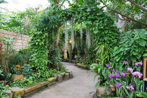 ...i jiných rostlin.