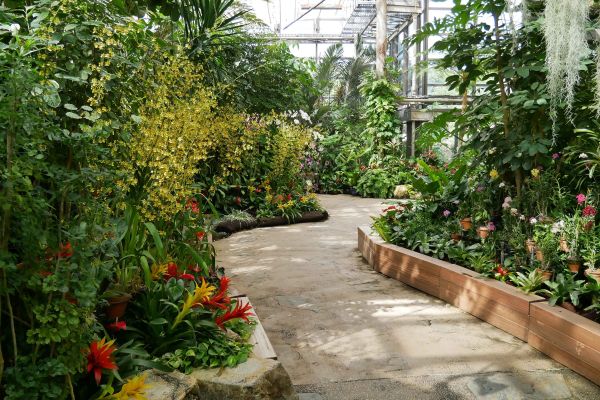 Orchidejové skleníky v EXPO parku.