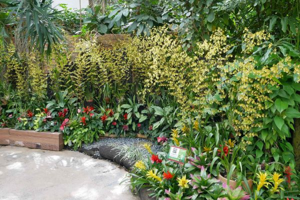 Orchidejové skleníky v EXPO parku.