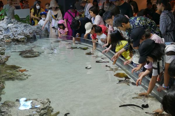Velké akvárium Churaumi v EXPO parku. Děti si můžou na některé živočichy i sáhnout.