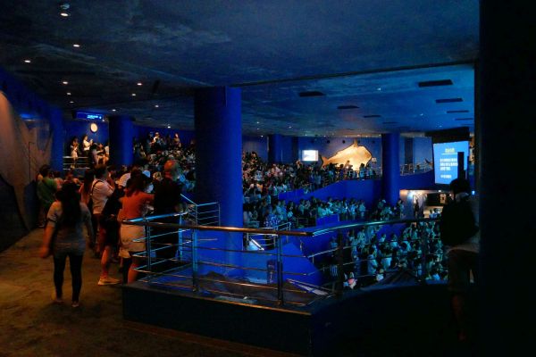 Velké akvárium Churaumi v EXPO parku.