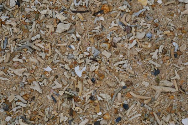 Pláže jsou tvořené především korály.