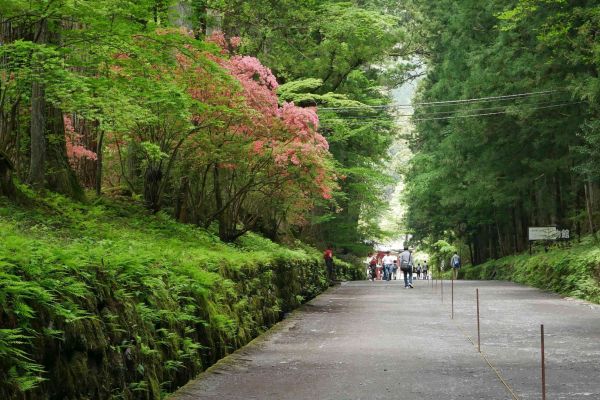 Okolí chrámových komplexů v Nikkó, cesta k Taiyuinu.